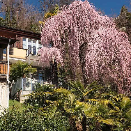 Casa Sibylle Bei Appartement
