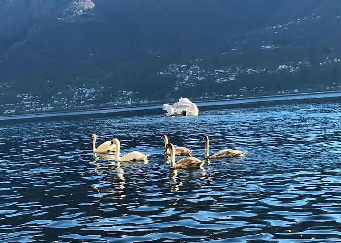 Casa Sibylle Bei 아파트