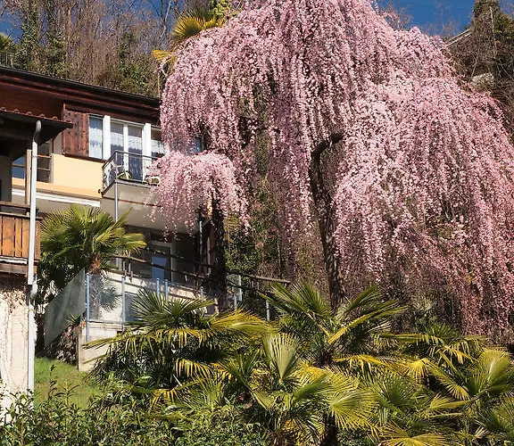 Casa Sibylle Bei Apartmán