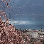 公寓 Casa Sibylle Bei 洛迦诺